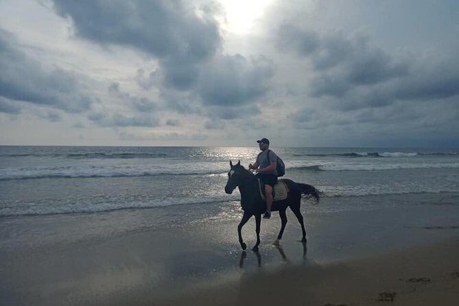Seminyak Beach Bali Horse Riding - Timing Your Slot: Sunset-Style vs Daytime