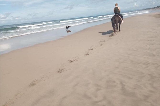 Seminyak Beach Bali Horse Riding - What You Actually Do During the Ride (Stop 1: Seminyak Beach)