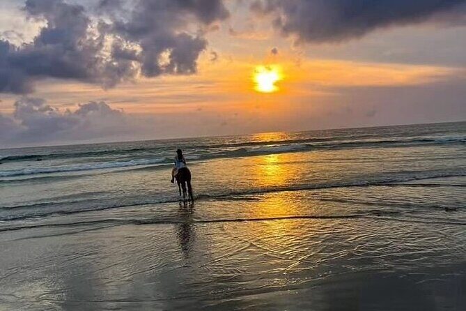 Seminyak Horse back riding In the beach - Seminyak Beach Horseback Riding: Why This Ride Feels Like Good Value