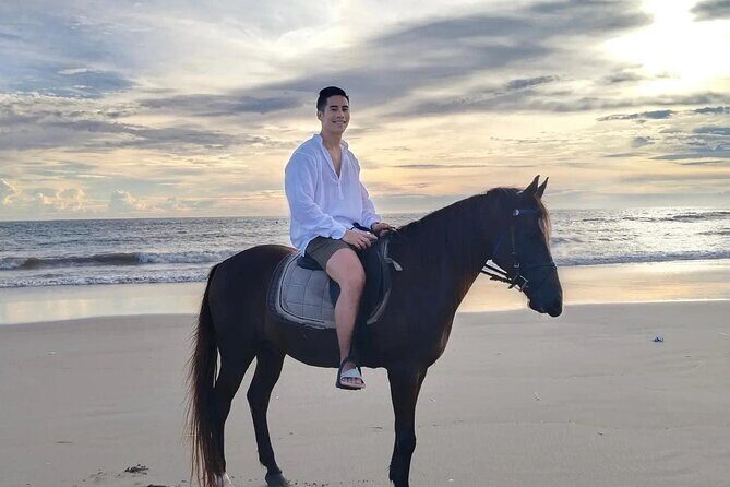 Seminyak Horse back riding In the beach - The Horses: Quiet, Guided, and Built for a Mixed Crowd