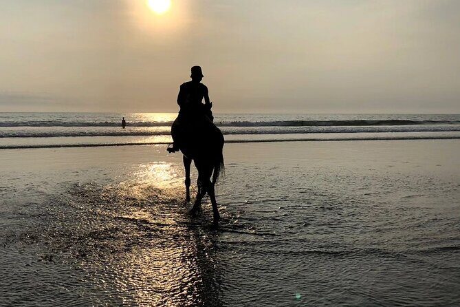 Seminyak Horse back riding In the beach - Weather and Timing: When the Beach Ride Gets Rescheduled
