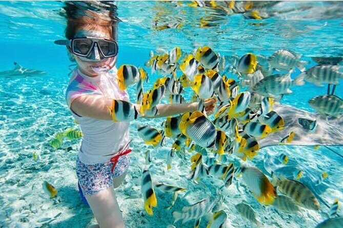 Snorkeling At Blue lagoon And Hidden waterfall - Key Highlights You’ll Actually Care About