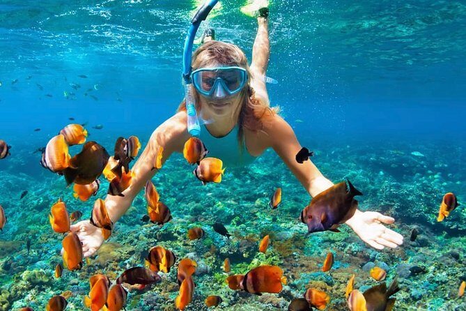 Snorkeling At Blue lagoon And Hidden waterfall - Blue Lagoon Snorkeling: Coral, Fish, and Turtle Chances