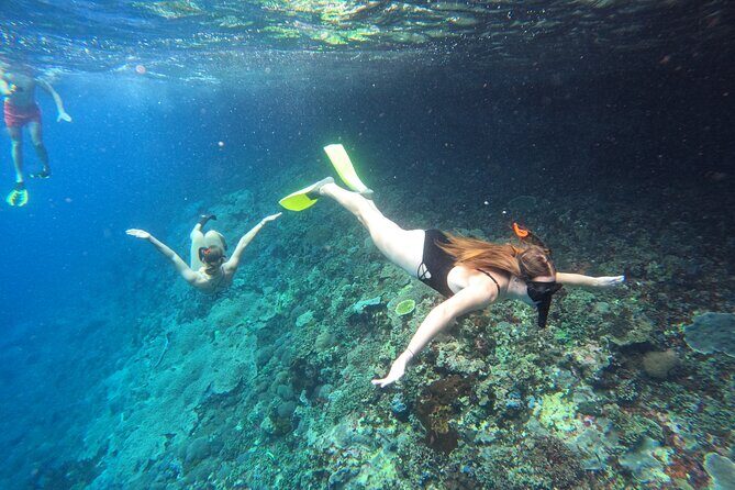 Snorkeling Day Trip to Nusa Lembongan and Nusa Penida - Key Highlights You’ll Actually Care About