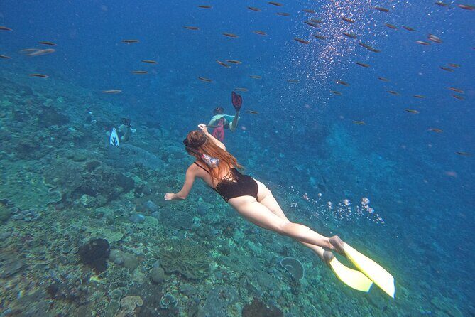 Snorkeling Day Trip to Nusa Lembongan and Nusa Penida - Getting from Port to Snorkel Spots: How the Day Stays Organized