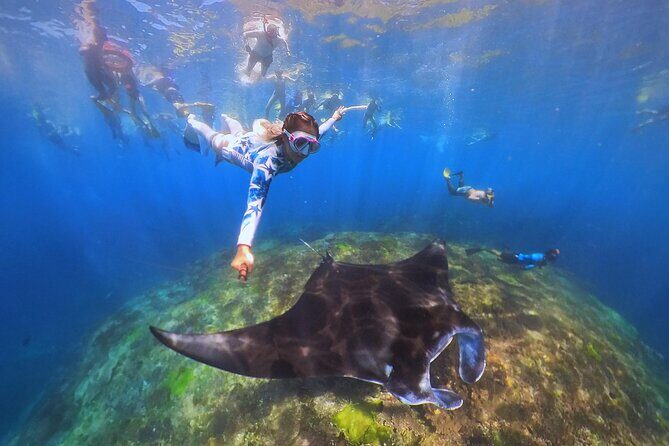 Snorkeling Day Trip to Nusa Lembongan and Nusa Penida - Lunch Buffet, Fruits, Juices, and the Underwater Photo Moment