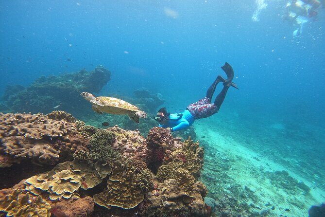 Snorkeling Day Trip to Nusa Lembongan and Nusa Penida - Kayaking or a Lembongan Tour: What Happens After Snorkeling