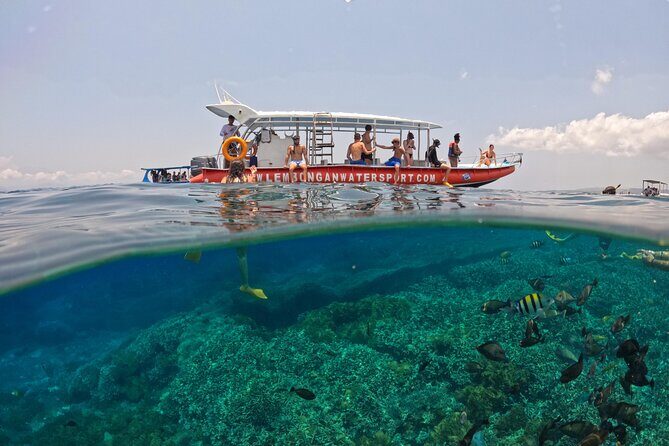 Snorkeling Day Trip to Nusa Lembongan and Nusa Penida - Price and Value: Is $42.55 Worth It?