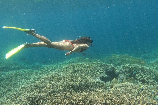 Snorkeling Day Trip to Nusa Lembongan and Nusa Penida - Nusa Lembongan Stop 1: White-Sand Island Energy and First Swim