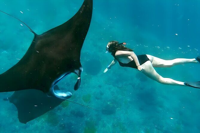 Snorkeling In Nusa Penida Departing From Bali Island - Key highlights worth your attention