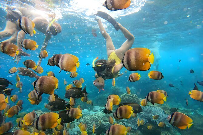 Snorkeling In Nusa Penida Departing From Bali Island - The Big Idea: Get From Seminyak to Nusa Penida and Back, Smoothly