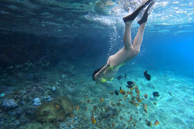 Snorkeling In Nusa Penida Departing From Bali Island - Equipment, Life Jackets, and GoPro Photos: The Value Behind the Inclusions