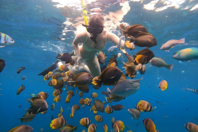 Snorkeling In Nusa Penida Departing From Bali Island - Price and Value: Why $104.50 Can Make Sense