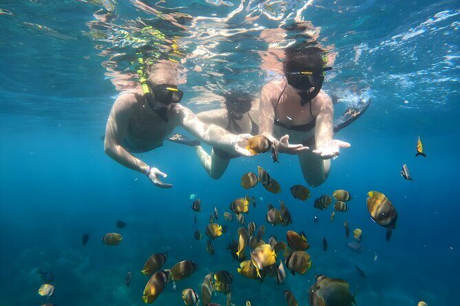 Snorkeling In Nusa Penida Departing From Bali Island - Who This Tour Fits Best (and Who Should Adjust Expectations)