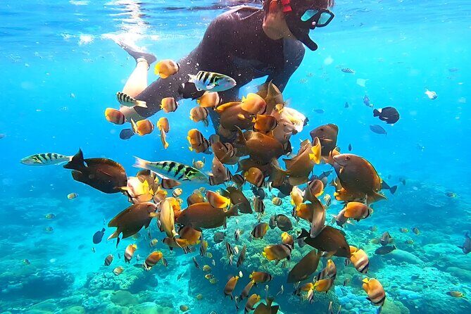 Snorkeling In Nusa Penida Departing From Bali Island - Should You Book This Nusa Penida Snorkeling Tour from Seminyak?