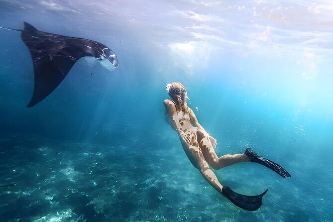 Snorkeling In Nusa Penida Island With Manta Ray From Bali - Key Points Before You Go