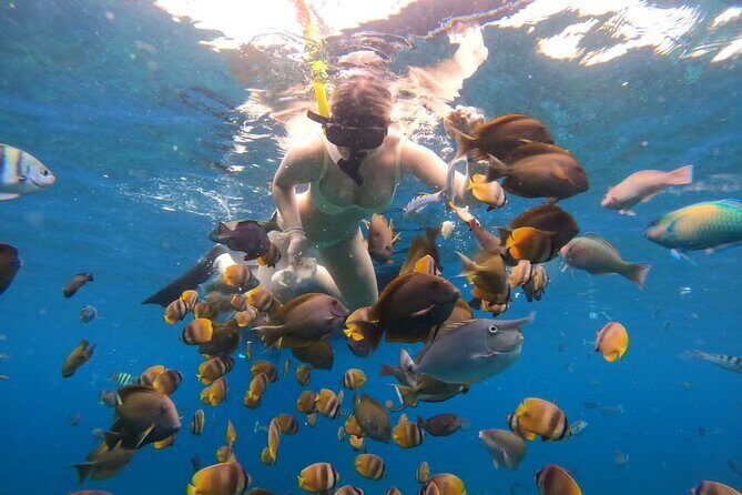 Snorkeling In Nusa Penida Island With Manta Ray From Bali - Morning Pickup and Sanur Check-In: Be Ready for a Fast Day