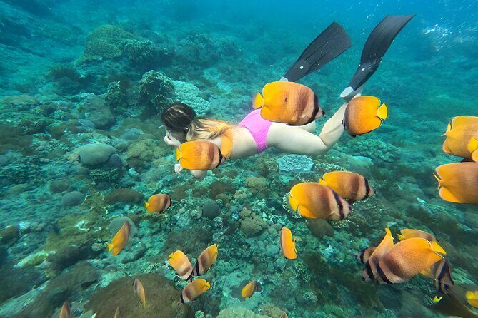 Snorkeling In Nusa Penida Island With Manta Ray From Bali - What’s Included vs. What You’ll Pay For: The Real $95 Value Check