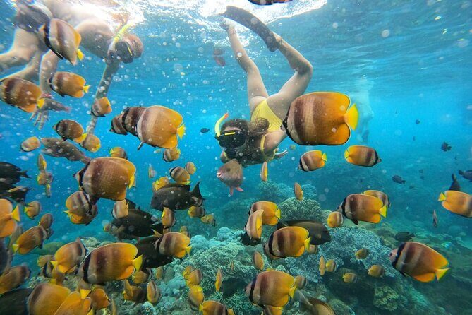 Snorkeling In Nusa Penida Island With Manta Ray From Bali - Gear, Cash, and Comfort Tips That Actually Help