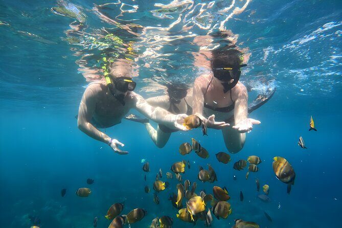 Snorkeling In Nusa Penida Island With Manta Ray From Bali - Who This Snorkeling + Manta Ray Day Trip Fits Best
