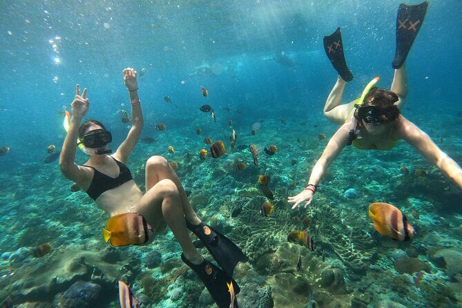 Snorkeling In Nusa Penida Island With Manta Ray From Bali - Speedboat to Nusa Penida: What the Journey Adds (and Costs)