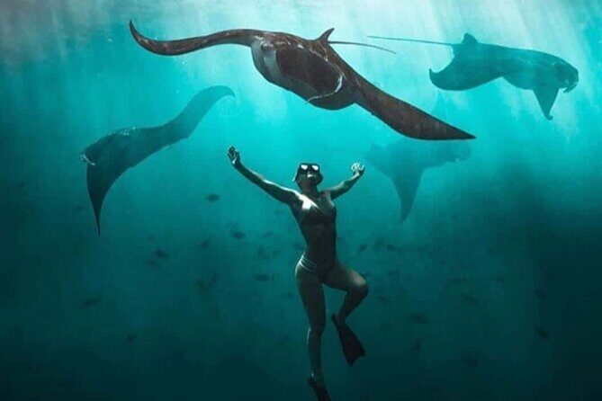 Snorkeling Nusa Penida and Island Tour Package - Why “Potential Mantas” Is Both Great and Risky