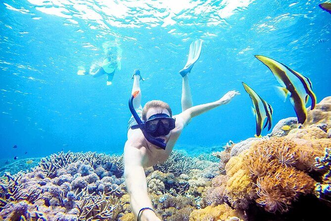 Snorkeling Nusa Penida and Island Tour Package - The 6:30am Start: Worth It, But You Should Plan Smart