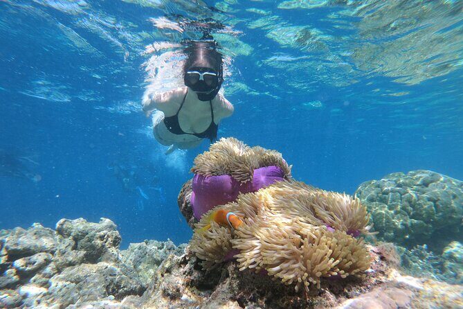Snorkeling Tour at Blue Lagoon with Private Hotel Transfer - Key points to know before you go