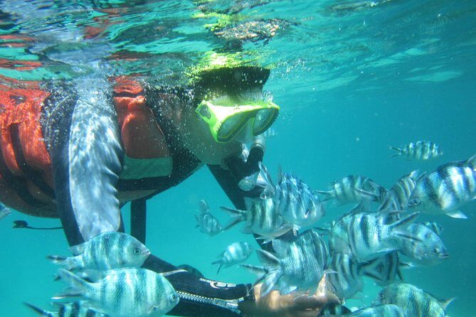 Snorkeling Tour at Blue Lagoon with Private Hotel Transfer - Who this tour fits best (and who might want to skip it)