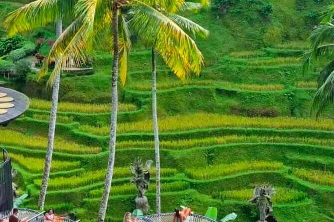 Sunset Sailboat Dinner Cruise & Private Ubud highlights Tour. - Price and value: is $80 per person a smart deal?