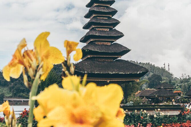 Tanah Lot - Jatiluwih (UNESCO) - Beratan lake -Hidden hill (Wanagiri)-FREE WI-FI - Wanagiri Hidden Hills: swings and bird-nest photo stops with twin-lake views