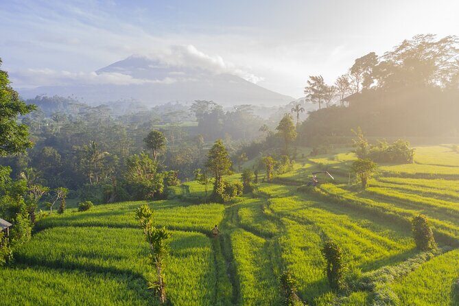 Tanah Lot - Jatiluwih (UNESCO) - Beratan lake -Hidden hill (Wanagiri)-FREE WI-FI - Tips to make this day trip feel smooth (not frantic)