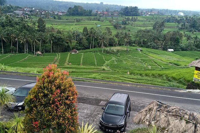 Tanah Lot Tour & North Bali Tour : All-Inclusive Best Experience - Jatiluwih Rice Terraces (UNESCO): More Than a Pretty View
