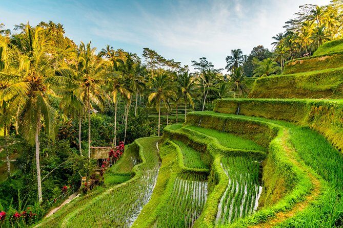 Tanah Lot Tour with Ubud Monkey Forest, Rice Terraces, and Waterfalls - Tanah Lot Temple: sea-rock views and real timing expectations