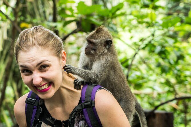 Tanah Lot Tour with Ubud Monkey Forest, Rice Terraces, and Waterfalls - Tegenungan Waterfall: a quick nature break that still delivers