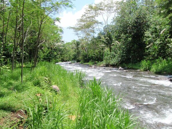 Telaga Waja River Rafting Bali & Zipline (Less Stairs) - Getting to BMW Rafting: transfers that keep the day moving