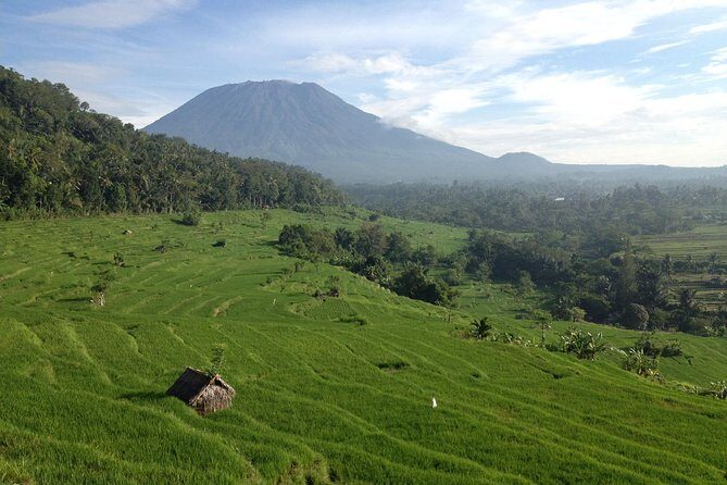 Tenganan Village Rice Field Trekking Tour - Tenganan Village Time: Traditional Life Without the Rush