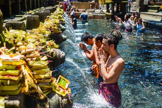 The Best of Ubud Tour and Jungle Swing - Key highlights worth your time