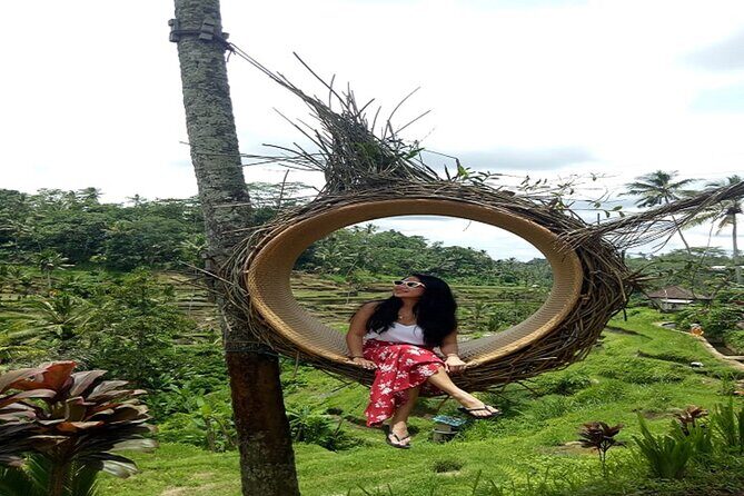 Tlaga Singha Infinity Pool, Jungle swing & Rice Terrace Trip - Who this tour suits best (and where it may not fit)