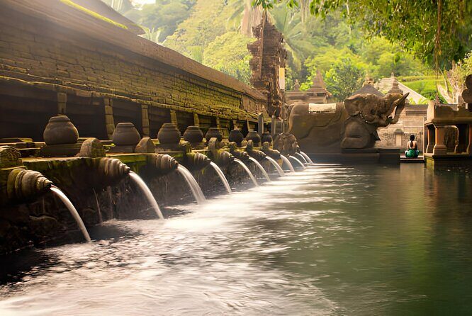 Ubud Bali: Rice Terrace, Waterfall and Tirta empul Day Tour - Tirta Empul purification is the day’s spiritual anchor