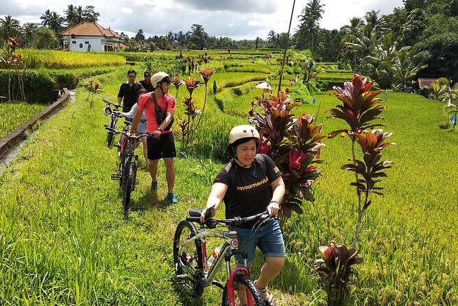 Ubud Cycling Tour - Laksmi Bali Agro Tourism: coffee and tea without the hard sell