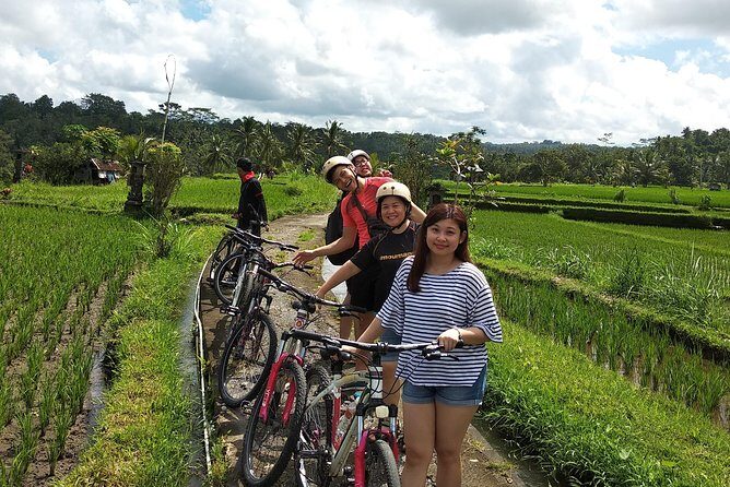 Ubud Cycling Tour - Meals and included gear: what you pay for at $50
