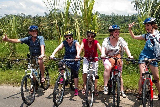 Ubud Cycling Tour - Tegalalang Rice Terrace stop: photos, shade, and admission