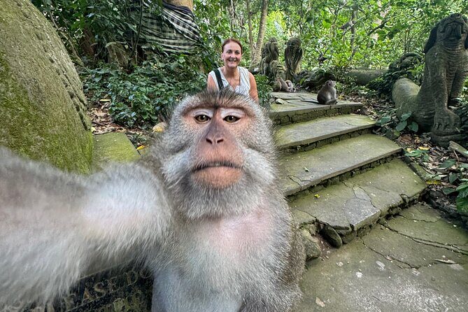 Ubud Day Tour with Private Car & Local Driver - Tegenungan Waterfall: easy access, big energy