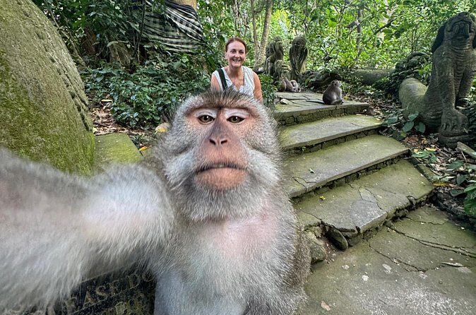 Ubud Day Tour with Private Car & Local Driver - Tirta Empul Temple: watching the holy spring water in action