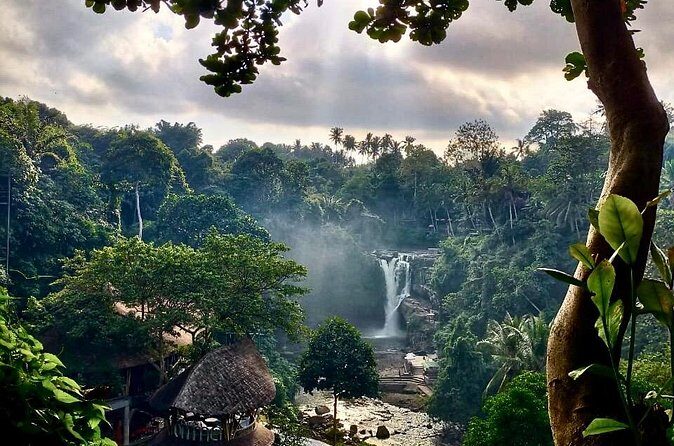 Ubud Day Tour with Private Car & Local Driver - Tegalalang Rice Terrace: iconic views with a photo-first setup