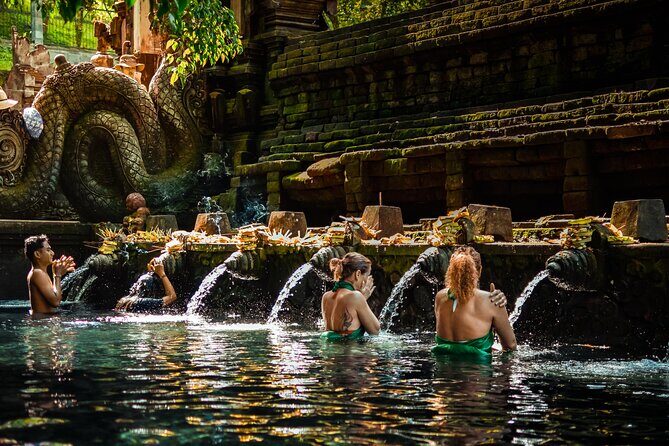 Ubud Experience | Full Day Private Tour in Ubud | FREE WIFI - Price and logistics: what your $40 covers (and what it doesn’t)