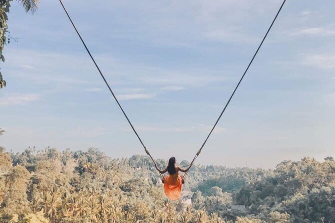 Ubud Full Day - Monkey Forest, Rice Terrace and Waterfalls Tour - Key takeaways before you go