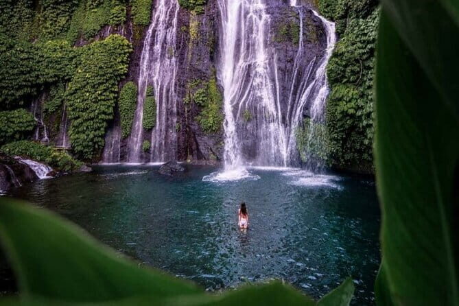 Ubud Full Day - Monkey Forest, Rice Terrace and Waterfalls Tour - Ubud jungle swing: the fun part is optional, and the fee is extra