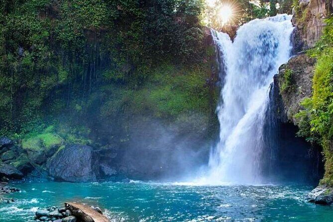 Ubud Full Day Tour Waterfall Monkey Forest Rice Terrace - Why This Ubud Day Mixes Monkeys, Waterfalls, and Sacred Water